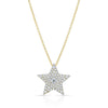 Large Star Necklace